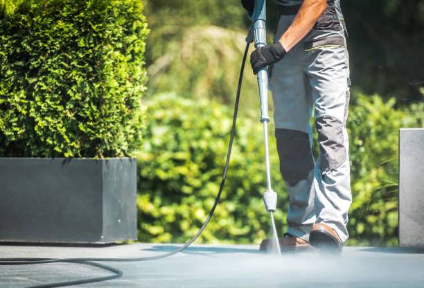 Best Gutter Cleaning  in Bellingham, WA