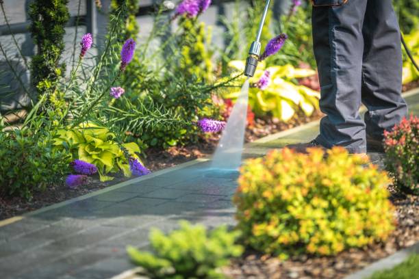 Winterizing Services in Bellingham, WA
