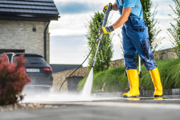 Best Fence Cleaning  in Bellingham, WA